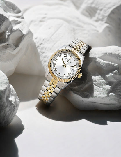Evara Gold Two-Tone Silver Dial Watch 